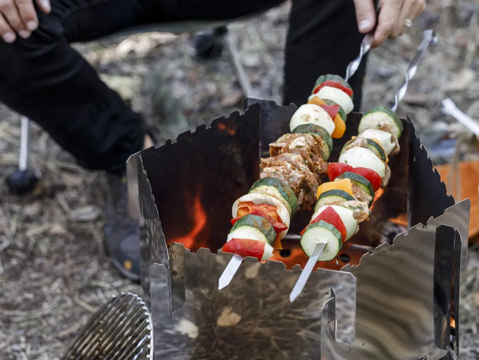 Atago Reflectorscherm Petromax