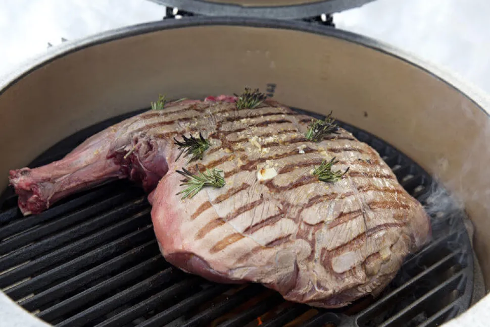 Big Green Egg XXL – met intEGGrated handler