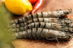 Black Tiger gamba’s ongepeld 13/15 met kop