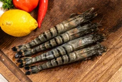 Black Tiger gamba’s ongepeld 13/15 met kop