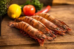 Black Tiger gamba’s ongepeld 6/8 met kop