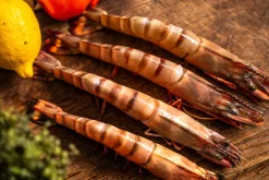 Black Tiger gamba’s ongepeld 6/8 met kop