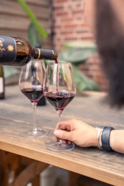 De Beste BBQ-wijnen pakket