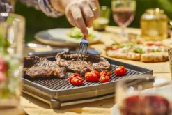 Dubbelzijdige Grizzlerplaat Ooni