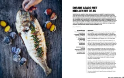 Het ultieme open vuur- en braaiboek