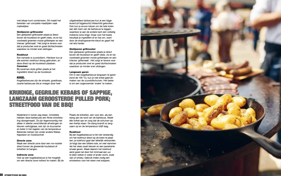 Het Ultieme Streetfoodboek