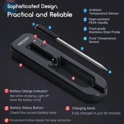 Inkbird BG-BT1W smart thermometer