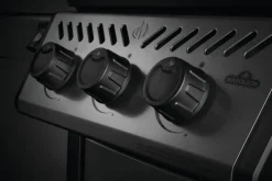 Napoleon Freestyle 365 DSIB