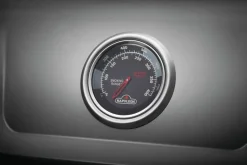 Napoleon Freestyle 365 DSIB