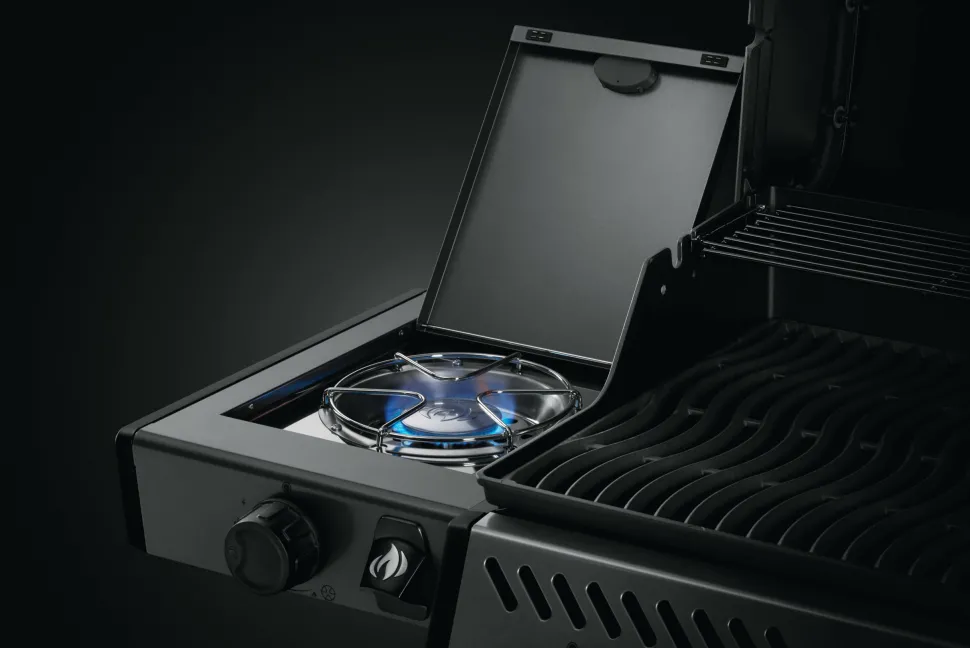 Napoleon Freestyle 365 SB