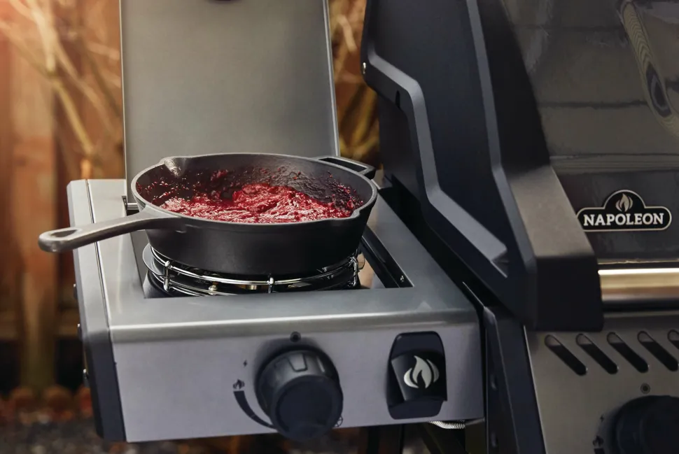 Napoleon Freestyle 365 SB