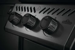 Napoleon Freestyle 365 SB