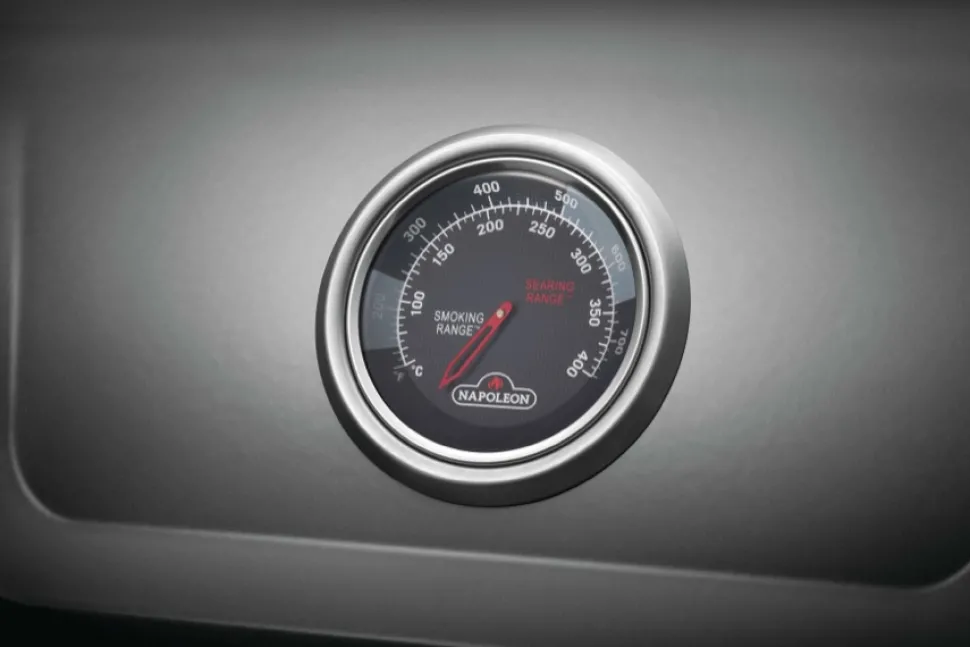 Napoleon Freestyle 365 SB