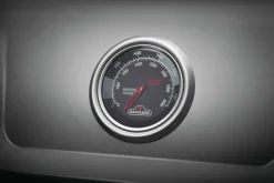 Napoleon Freestyle 365 SIB