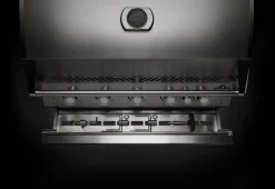 Napoleon inbouw 700-Serie 44 RB RVS