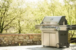 Napoleon Prestige PRO™ 665 RVS RSIB