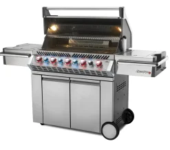 Napoleon Prestige PRO™ 665 RVS RSIB