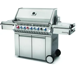 Napoleon Prestige PRO™ 665 RVS RSIB