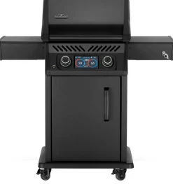 Napoleon Rogue EQ 365